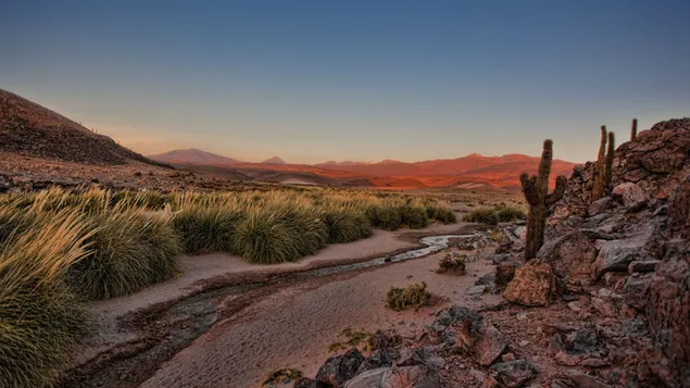 Atacama-Wüste mit sonniger Landschaft 4K Hintergrundbild