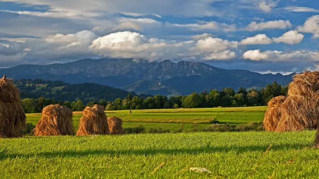 Atmospheric Landscape 4K wallpaper