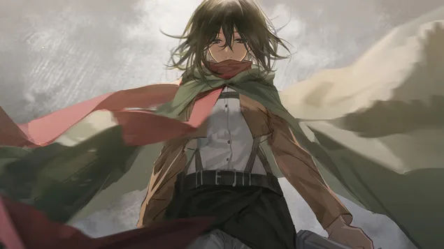 거인 공격: 미카사 아커만 스쿼트 연대 4K 배경화면