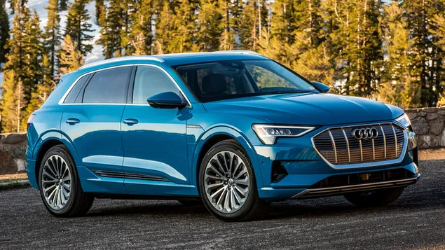 Ao Di  e-tron 2019 05Xia Zai