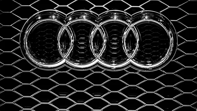 Audi Grill download