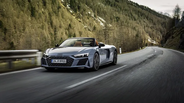 Audi R8 V10 Performance RWD 2022 gray color front and side view