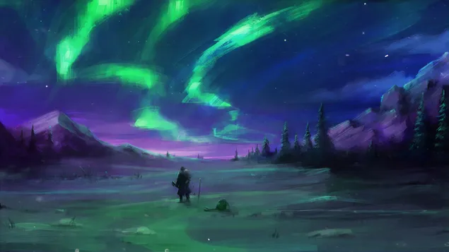 Aurora Borealis Nachtelijke Hemel