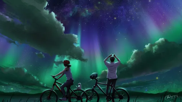 Aurora Borealis Sky in Night HD wallpaper