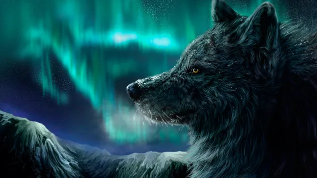 Aurora Borealis-Wolf Art.-Nr herunterladen