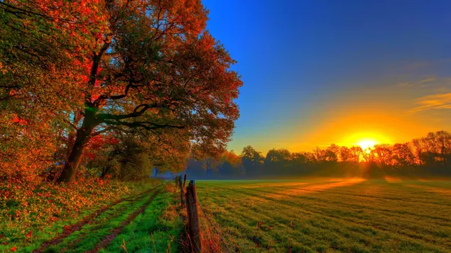 Autumn and sunset download