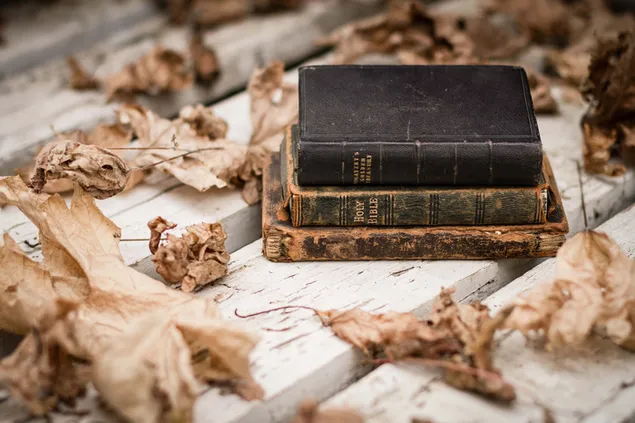 Daun musim gugur dan buku-buku yang sangat tua unduhan
