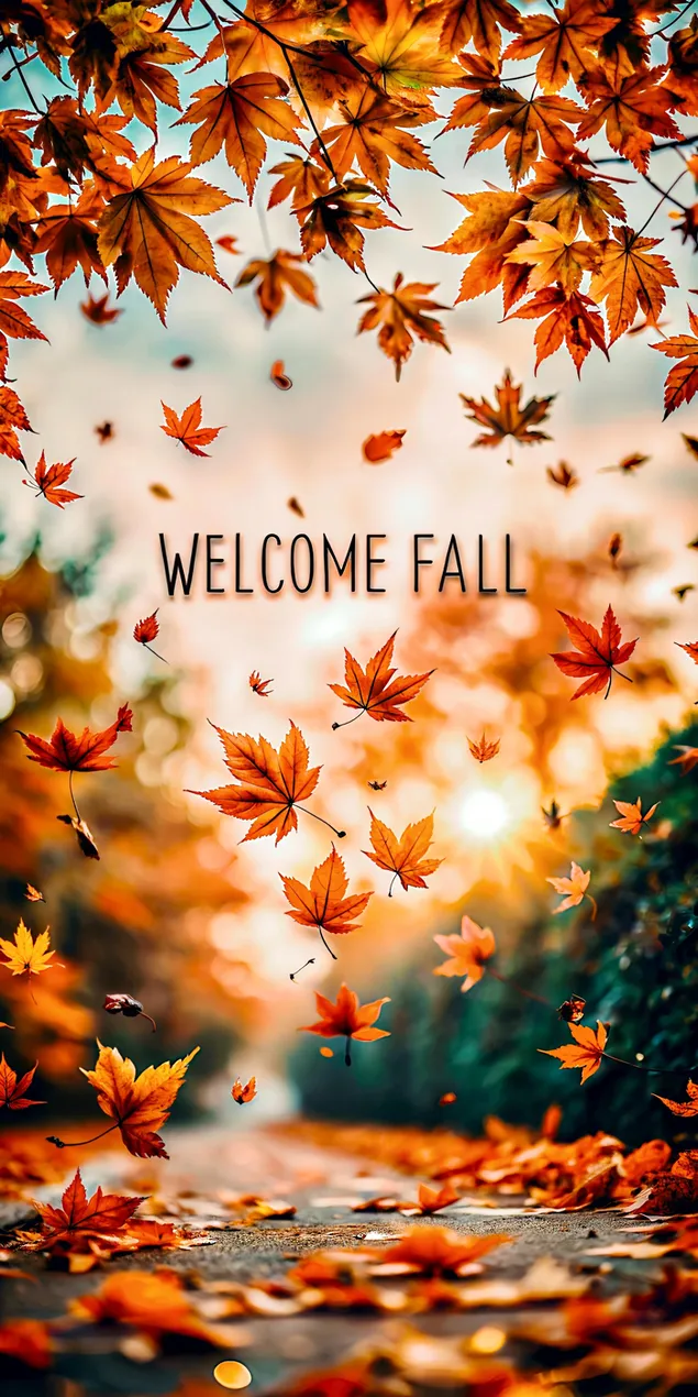 syksyn lehdet putoavat polulle lampimassa ja kutsuvassa maisemassa lataa