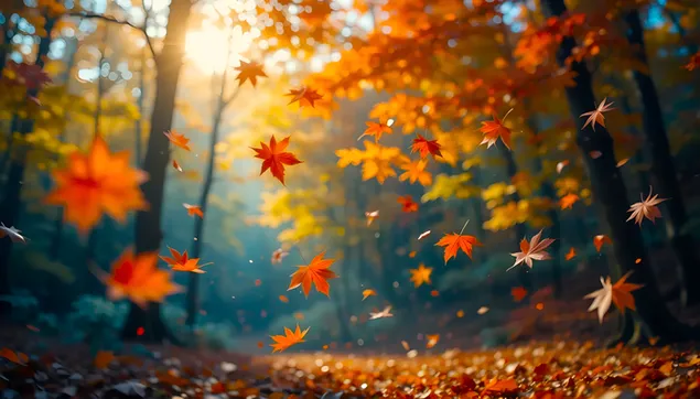 herfsblare val in sonnige bospad aflaai