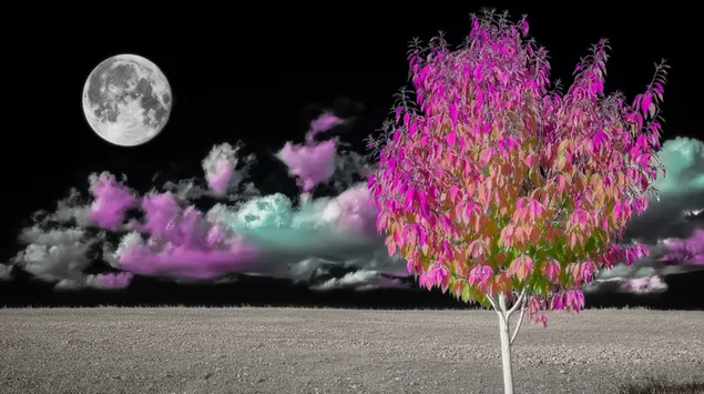 jesenska livada obasjana mjesecinom preuzmi