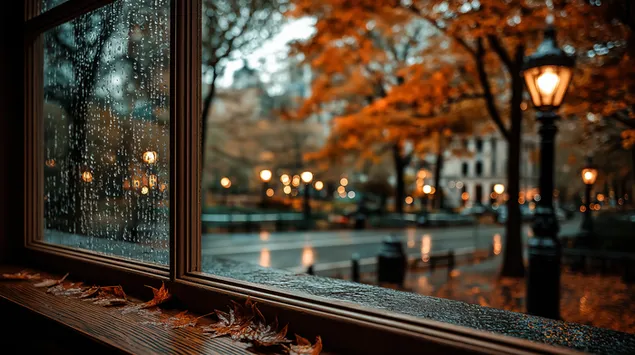jesenja kisa s prozora: gradski park sa sjajem ulicne rasvjete preuzmi