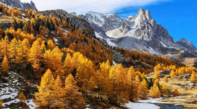 Autumn Season in Mountains 4K wallpaper