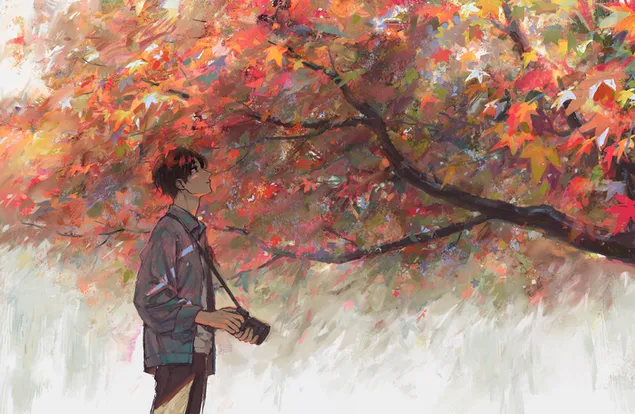 Fotografiranje jesenske sezone 4K ozadje