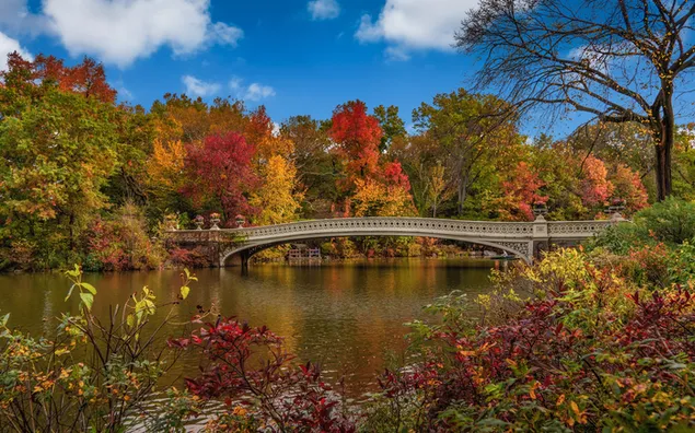 Cây mùa thu và cây cầu bắc qua hồ, Công viên Trung tâm