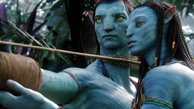 Avatar película - personaje