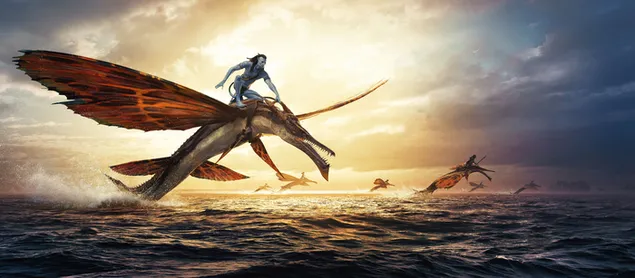 Avatar movie series 2 characters flying in the ocean
