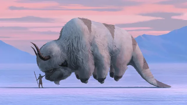 vvtr: kshp hvvyr hkhrvn - aang & appa hvrd