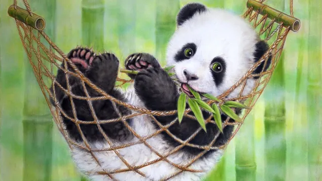 Baby-Panda herunterladen