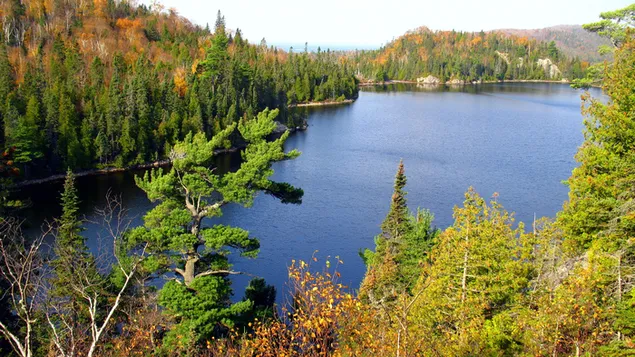 Baggrund af floden HD baggrundsbillede