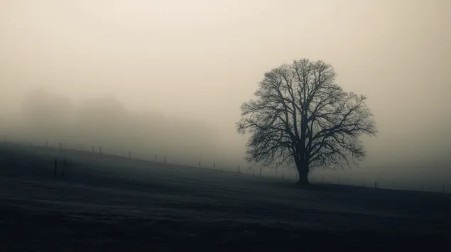paljaan puun siluetti utuisella pellolla synkkana aamuna lataa