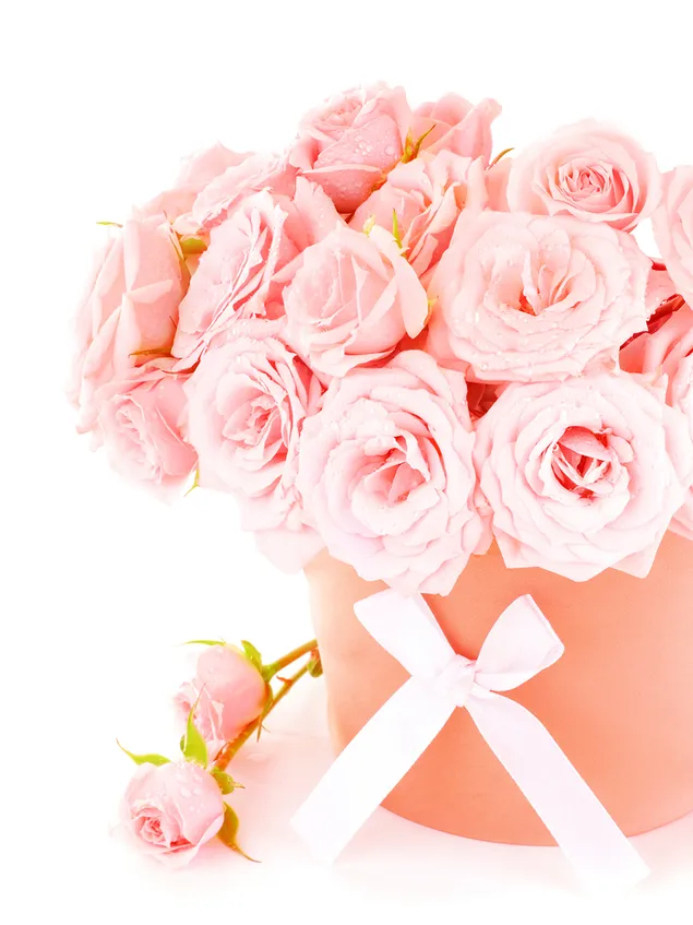 バレンタインデー-柔らかいピンクのバラの装飾