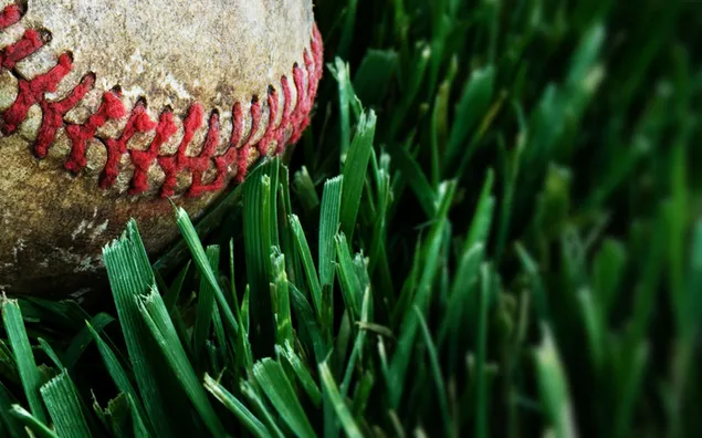Бейсбольний м'яч і трава завантажити