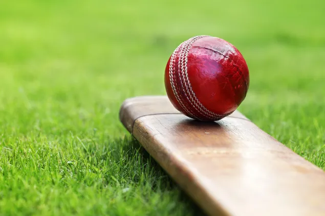 Bat en bal gebruikt in de sport van cricket gespeeld op een ovaalvormig veld