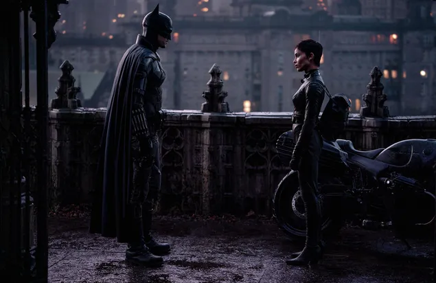 Batman and catwoman looking at each other