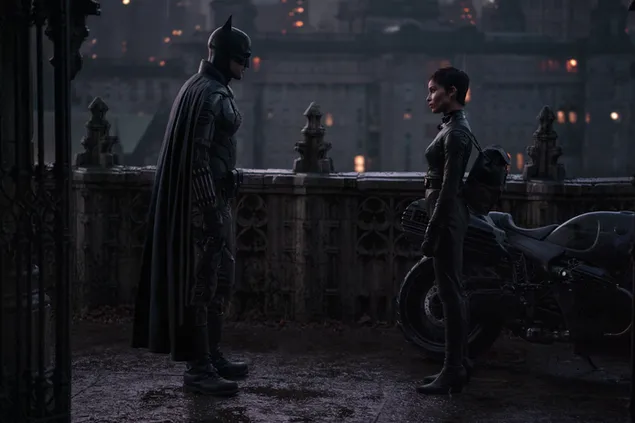 Batman and catwoman on the roof in the batman movie