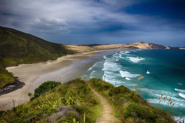 Beach in New Zeland download
