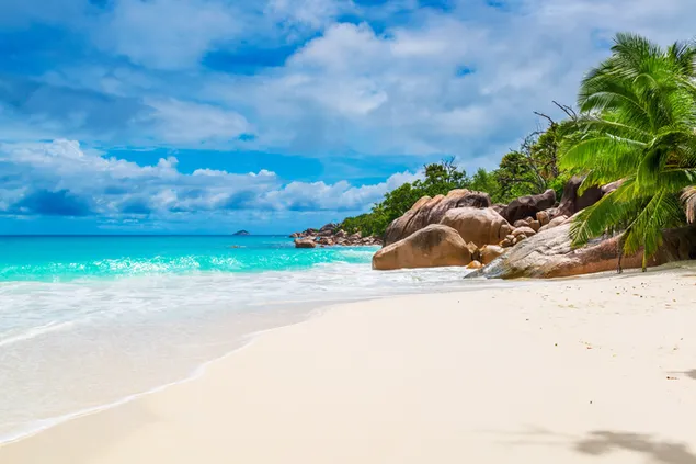 Strand op de Seychellen 6K achtergrond