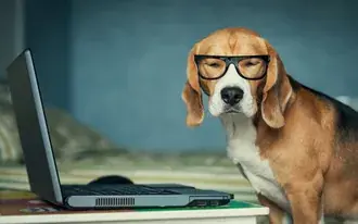 beagle legracni stahnout