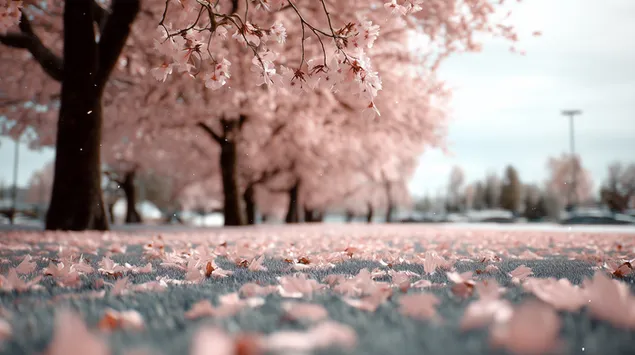 Schéine rouege Kiischtebléiepark mat bléiende Beem 2K Tapeten
