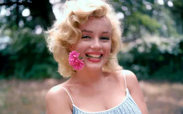 Hermosa actriz Marilyn Monroe mordiendo una flor rosa