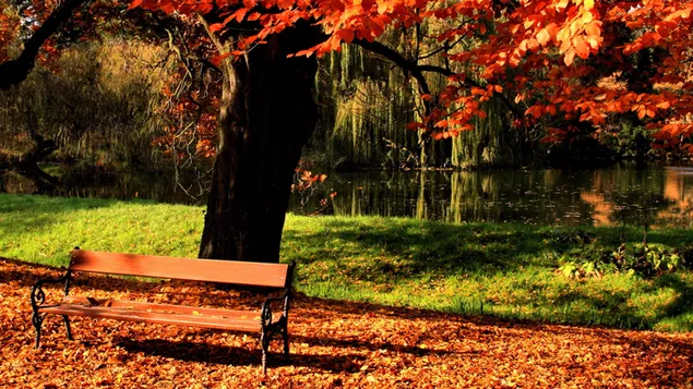 Gyönyörű őszi háttér HD háttérkép
