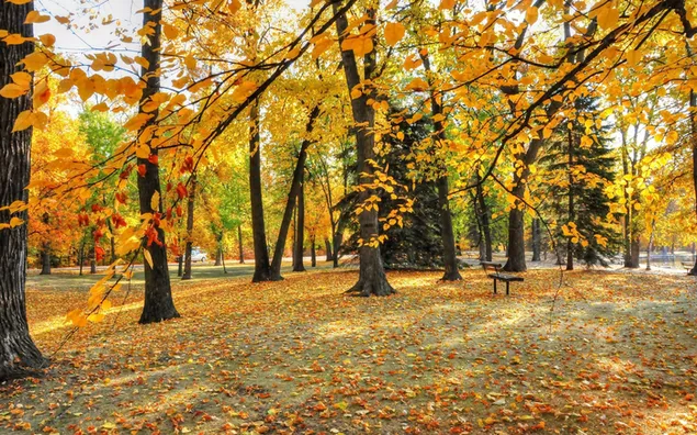 Gyönyörű őszi táj 2K háttérkép