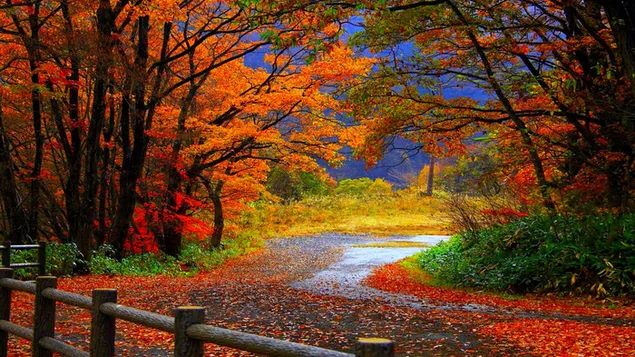 Hermoso paisaje de otoño HD fondo de pantalla