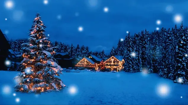 Piękny prezent na Boże Narodzenie wakacje Wesołych Santa śnieg drzewo zima Zwierzęta Niedźwiedzie pobierz