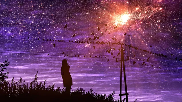 คืนดาวอันมืดมิดที่สวยงาม 4K วอลเปเปอร์