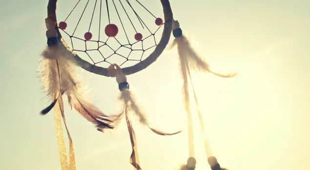 piekny lapacz snow pobierz