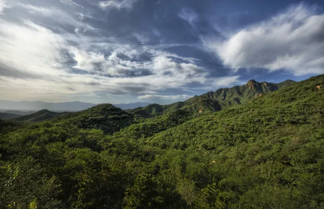 Tapeta Pohľad na pozadie krásnej zelene 2K