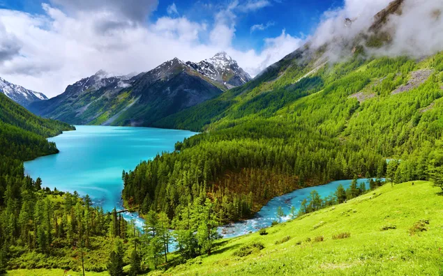 Schöne grüne Landschaftsansicht 4K Hintergrundbild