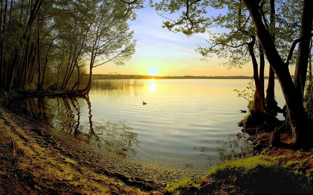 Fondo hermoso lago HD fondo de pantalla