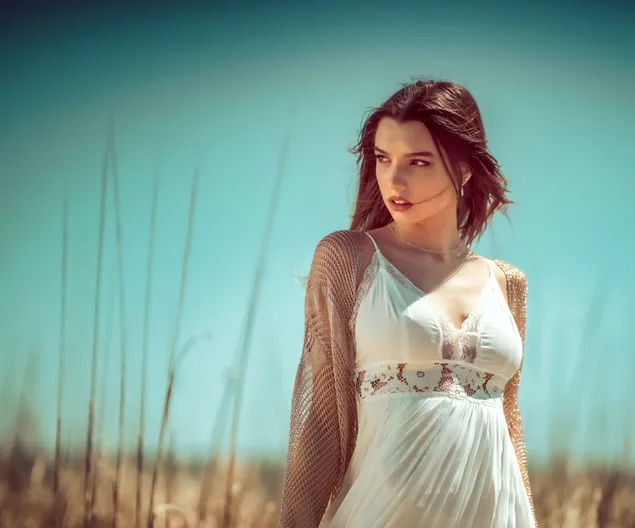 Chuan Zhu Bai Se Lian Yi Qun De Piao Liang Mo Te Zai Jian Ci De Tian Ye Li Xia Zai