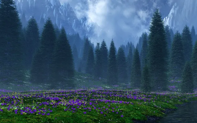 美しい山の風景 HD 壁紙