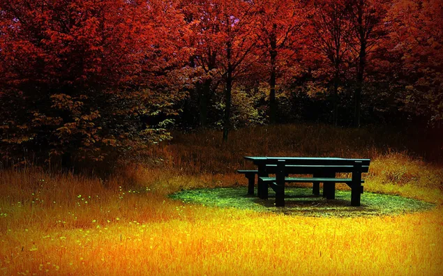 Alam yang indah di musim gugur unduhan