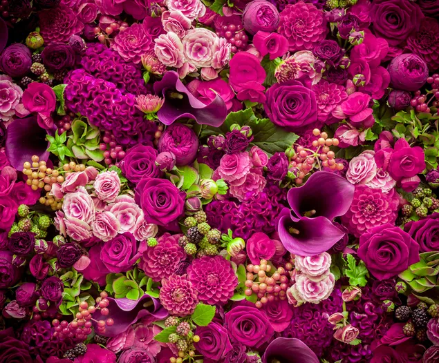 Bó hoa màu hồng đẹp