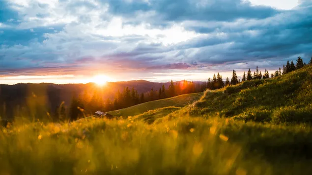 Beautiful Sunrise view download