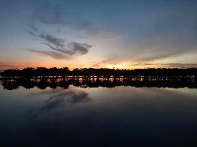 Hermoso río Tanguar Haor Sunset árboles reflexión, Bangladesh descargar