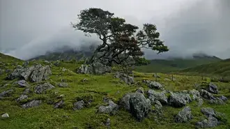 Cuaca indah di lanskap hijau HD wallpaper